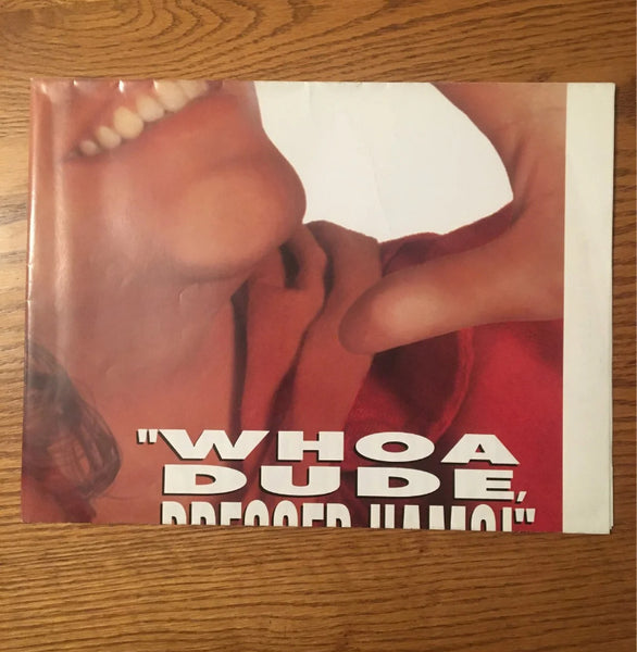 Bill and Ted’s Bogus Adventure Poster